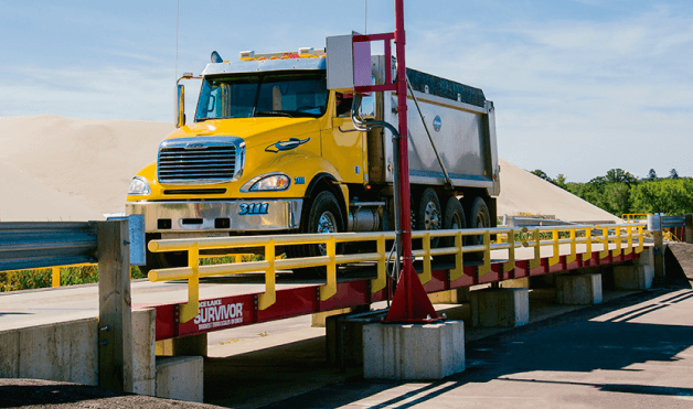 Bascula camionera rice like cardinal weighing colombia 