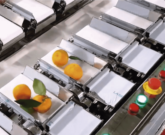 Pesaje por Bandas transportadoras Cardinal Weighing Colombia