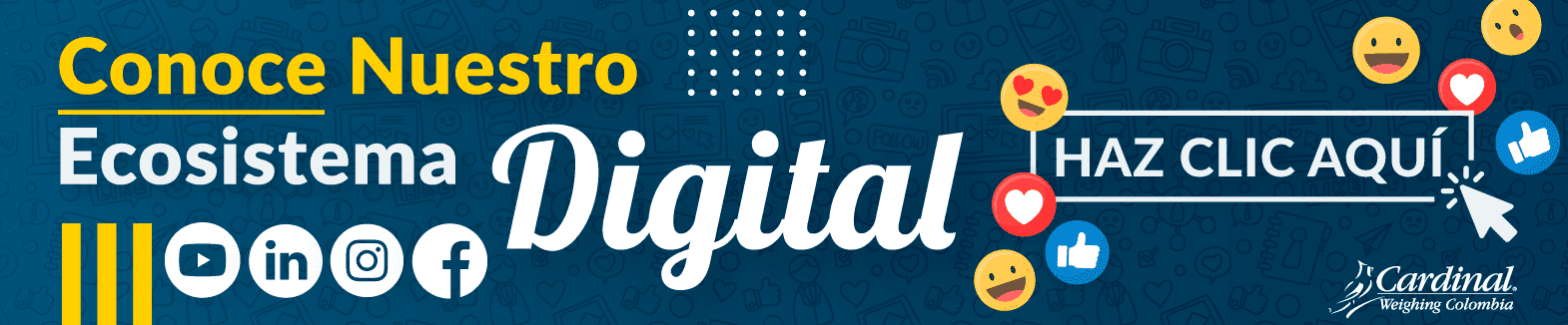 Ecosistema digital cardinal weighing colombia